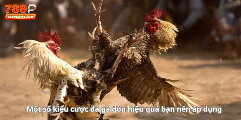 Một số kiểu cược đá gà đòn hiệu quả bạn nên áp dụng