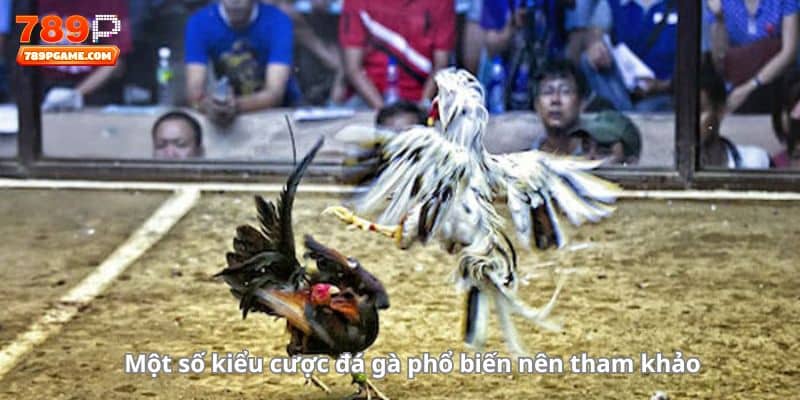 Một số kiểu cược đá gà phổ biến nên tham khảo