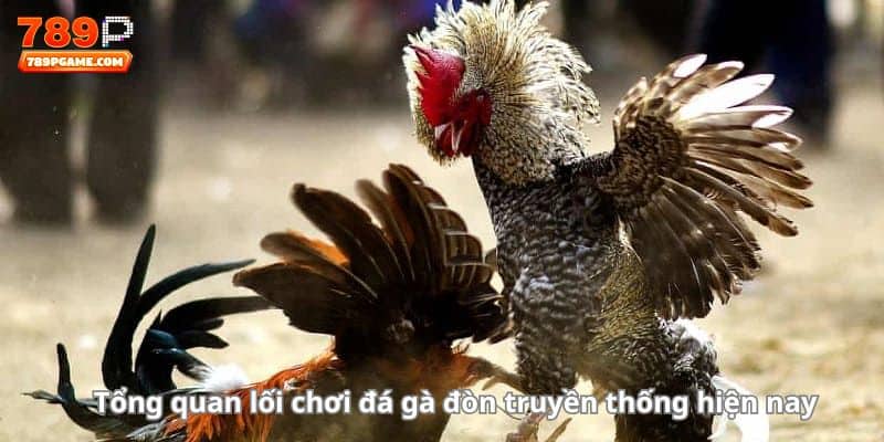 Tổng quan lối chơi đá gà đòn truyền thống hiện nay